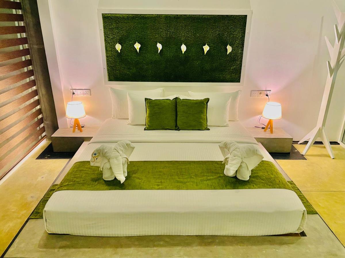 8 Plus Motels Negombo Eksteriør bilde